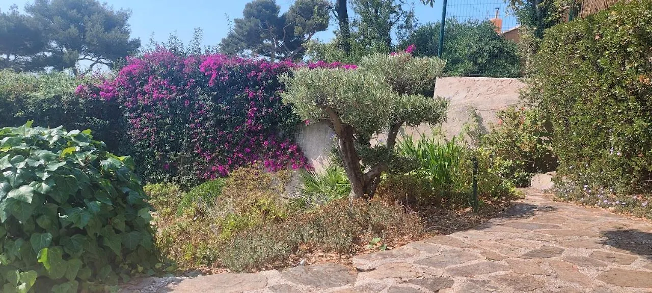 Villa Du Bau Rouge Carqueiranne